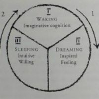 Three Parts of the Soul