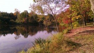 Restless, Irritable and Discontent?