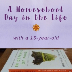 A Homeschool Day in the Life (with a 15-year old)