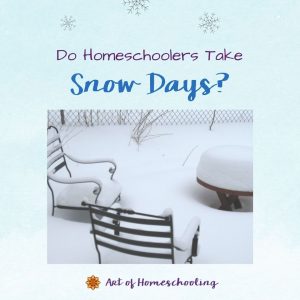 Do Homeschoolers Take Snow Days?