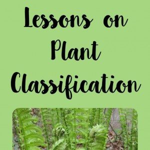 Lessons on Plant Classification