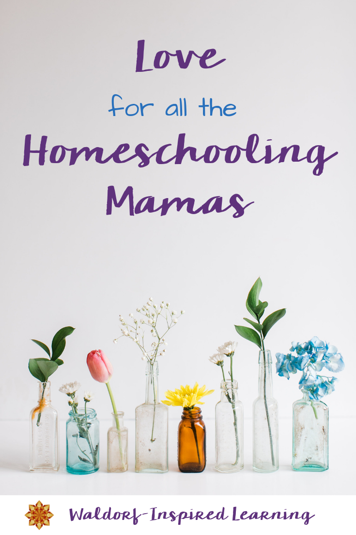 Love for all the Homeschooling Mamas